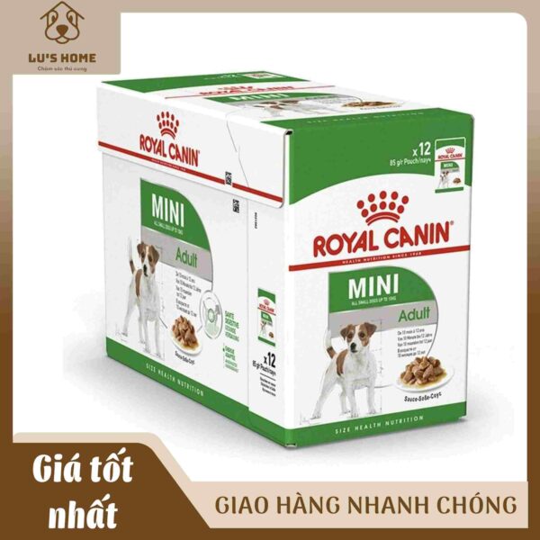 Pate Cho Chó Royal Canin Mini Adult Chó Trưởng Thành Giống Nhỏ
